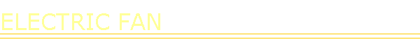 ELECTRIC FAN